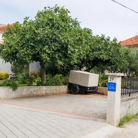 Summer Flower * Zadar