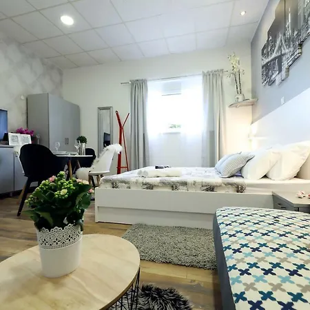 Summer Flower * Zadar