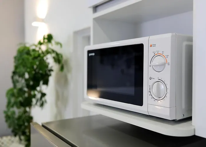 Summer Flower 자다르