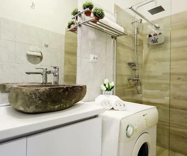 Summer Flower * 자다르