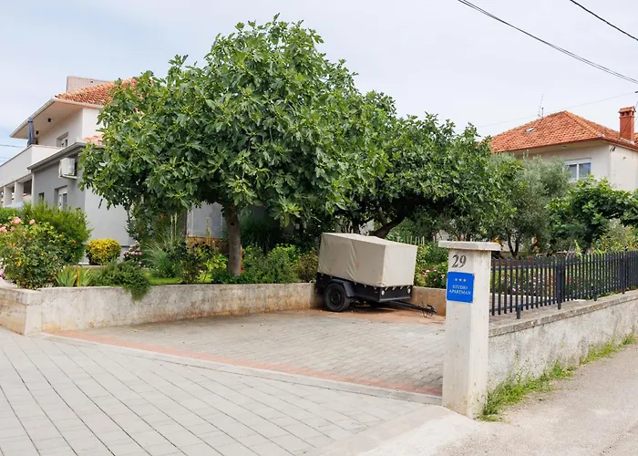 Summer Flower * Zadar