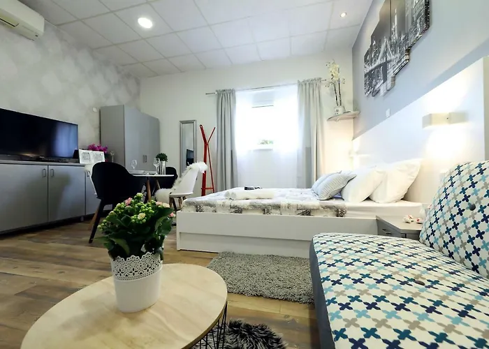 Summer Flower * Zadar